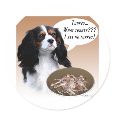 Cavalier King Charles Spaniel Turkey Sticker by GreyWolfCreation