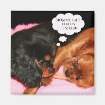Cavalier King Charles Spaniels Puppies Refrigerator Magnets