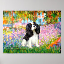 Cavalier King Charles (tri colour) - Garden Posters