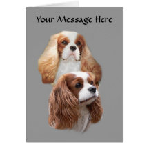 Cavalier Pretty Girls Greeting Card