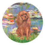 Cavalier (Ruby7) - Lilies 2 Round Sticker