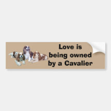 Cavalier Threesome Bumper Sticker