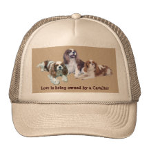 Cavalier Threesome Hat