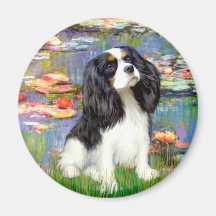 Cavalier (Tri5) - Lilies 2 Magnets