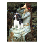 Cavalier (Tri6) - Ophelia Seated Postcards