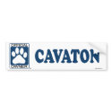 Cavaton Blue bumper stickers
