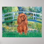 Cavavlier King Charles (Ruby7) - Lily Pond Bridge Poster