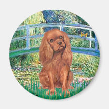 Cavavlier (Ruby7) - Bridge Fridge Magnet