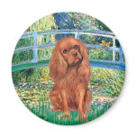 Cavavlier (Ruby7) - Bridge Fridge Magnet