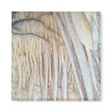 Cave Draperies magnets