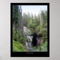 Cave in the Forest posters