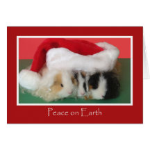 Cavy Christmas Guinea Pig Card