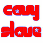 cavyslave pin photo sculptures
