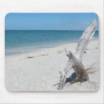 Cayo Costa Serenity