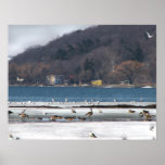 Cayuga Lake in Winter posters