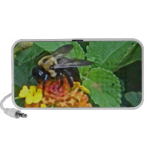 CB- Busy Bee Speaker