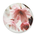 CB- Cherry Blossom Magnet