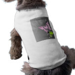 CC-022.ai pet clothing