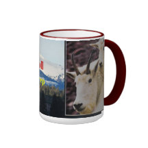 _ CCC - 22, Mount Shasta,  Mt Stile..JPG, CCP -... Mugs