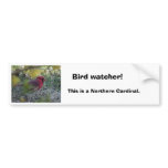 cd2 012, Bird watcher!, This is a Northern Card... bumper stickers