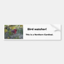 cd2 012, Bird watcher!, This is a Northern Card... Bumper Sticker