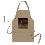 CD- Horsey Apron