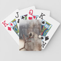 CDR Catkin Dream Bicycle Card Deck