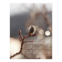 CDR Catkin Dream Photo Print