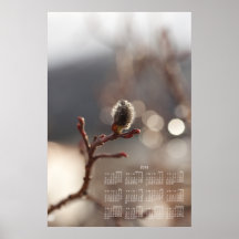 CDR Catkin Dream Posters