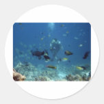 cebu_diving.jpg stickers