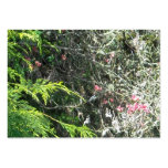 Cedar and Pink Dogword Business Card