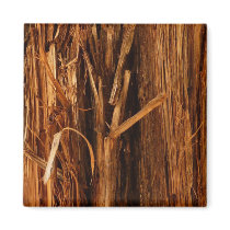 Cedar Bark Magnet