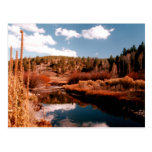 Cedar Breaks National Area, Utah Post Cards