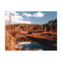 Cedar Breaks National Area, Utah postcards