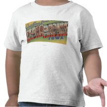 Cedar Rapids, Iowa - Large Letter Scenes Tee Shirt