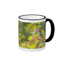 Cedar Waxwing  And Poke Berries On A Tree Mugs