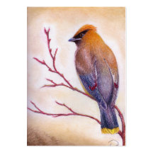 Cedar Waxwing Business Card