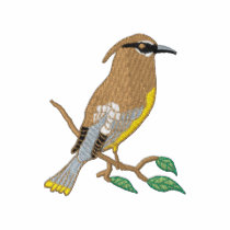 Cedar Waxwing