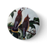 Cedar Waxwings in a Wild Black Cherry Tree buttons
