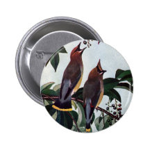 Cedar Waxwings in a Wild Black Cherry Tree Button