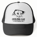 Ceiling Cat is Watching You hats
