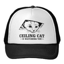 Ceiling Cat is Watching You Mesh Hats