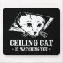 Ceiling Cat is Watching You