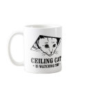 Ceiling Cat is Watching You mugs
