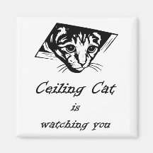 Ceiling Cat is Watching You Refrigerator Magnets