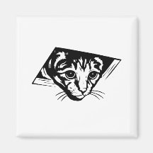 Ceiling Cat Refrigerator Magnets