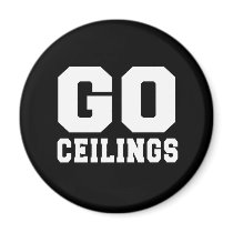 CEILING FAN (GO CEILINGS)