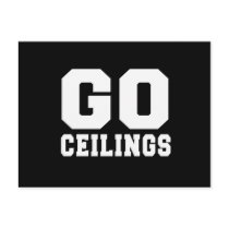 CEILING FAN (GO CEILINGS)