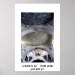 Ceiling, San Xavier del Bac, Arizona Posters