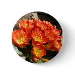 Celebrate Pinback Buttons